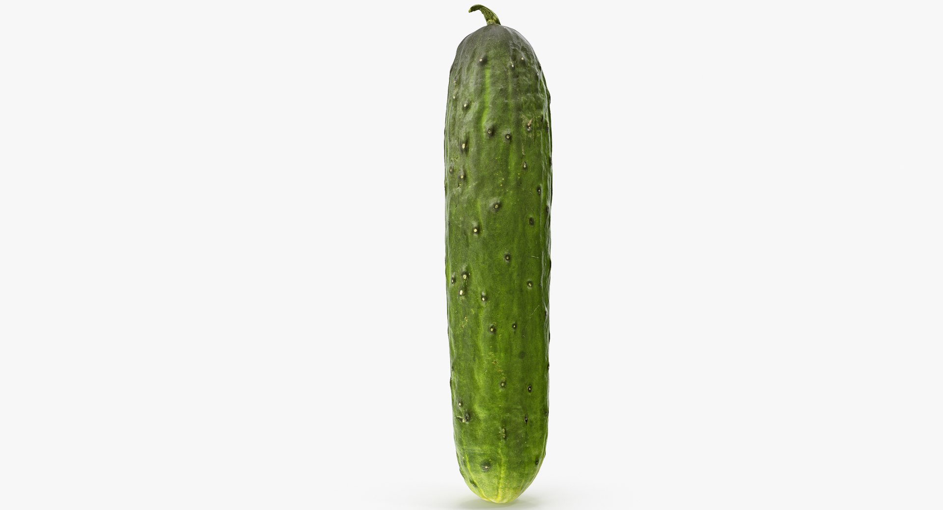 3D cucumber 01 hi model https://p.turbosquid.com/ts-thumb/iD/0nbgOP/g1qPa777/a2_0003copy/jpg/1567412087/1920x1080/fit_q87/b014dce6fccd2de0089c00cec61f152bb3824fdd/a2_0003copy.jpg