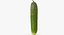 Gurke 01 Hallo Poly