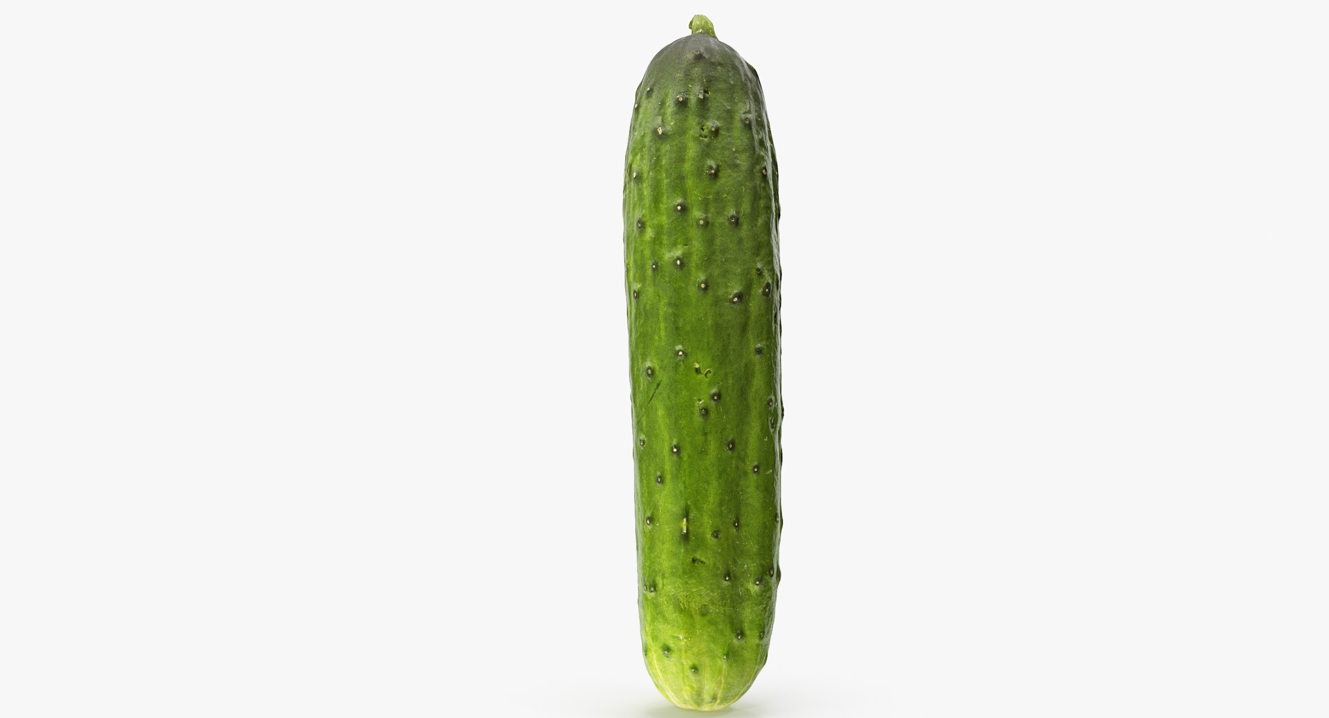 3D cucumber 01 hi model https://p.turbosquid.com/ts-thumb/iD/0nbgOP/zF1AHpii/a2_0015copy/jpg/1567412087/1920x1080/fit_q87/5ac66d26bd3763ca6f7f881d6c15859403ea0f9d/a2_0015copy.jpg