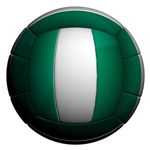 3D volleyball ball