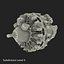 Aircraft Engines Collection