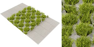 3D Collection plant vol 499 - blender model model