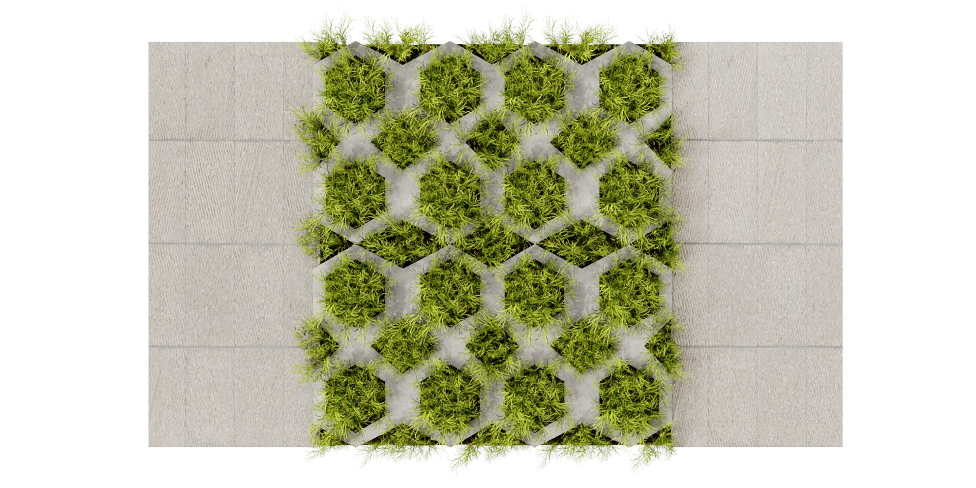 3D Collection plant vol 499 - blender model model https://p.turbosquid.com/ts-thumb/iD/L8qTIt/9T/5/jpg/1690452695/1920x1080/fit_q87/6a4082e53d7b12b52a40f82784709e85201e704d/5.jpg