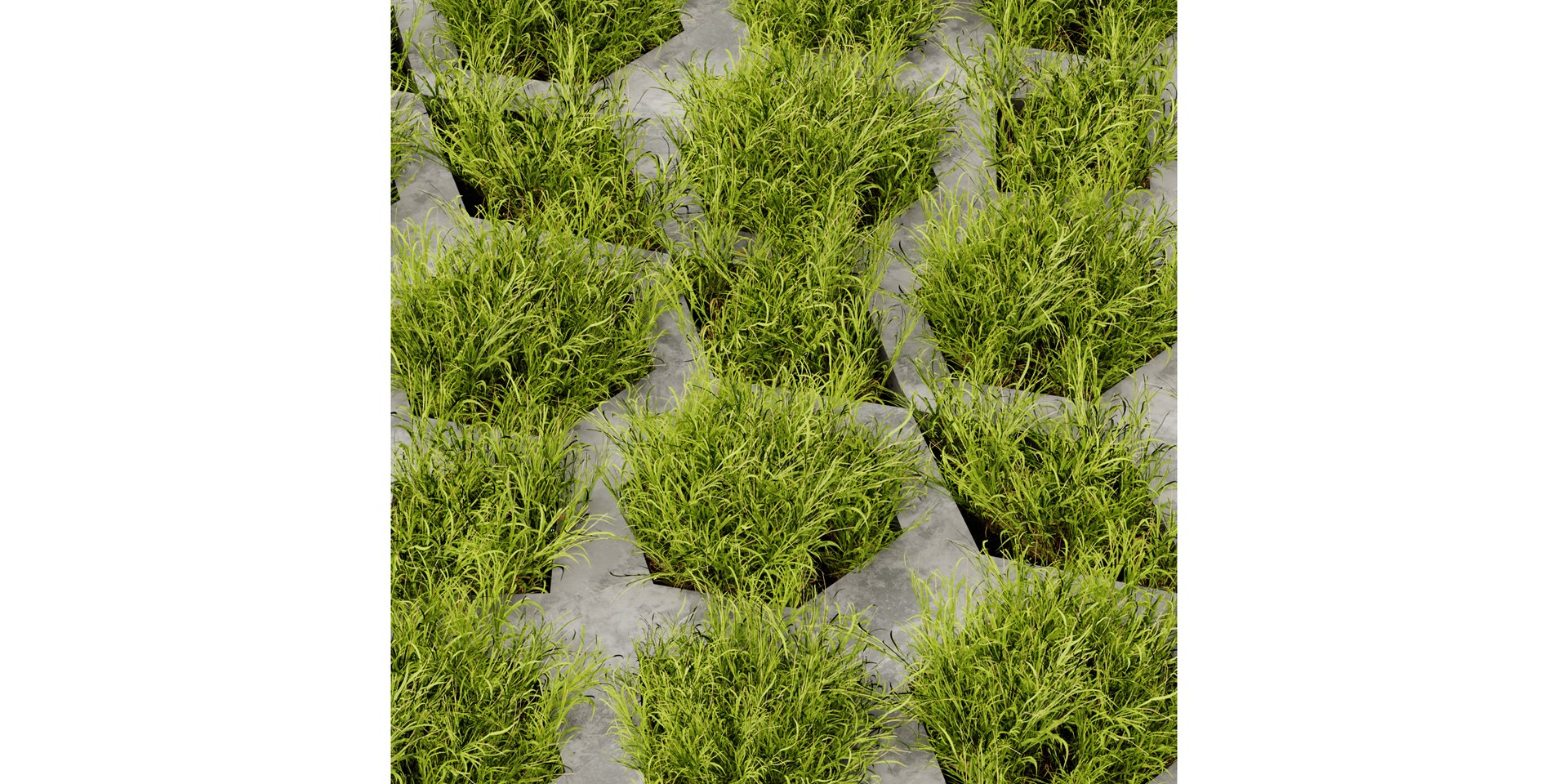 3D Collection plant vol 499 - blender model model https://p.turbosquid.com/ts-thumb/iD/L8qTIt/D6/3/jpg/1690452700/1920x1080/fit_q87/36559c8bead9f30be09f191a626e14eae96d5d45/3.jpg