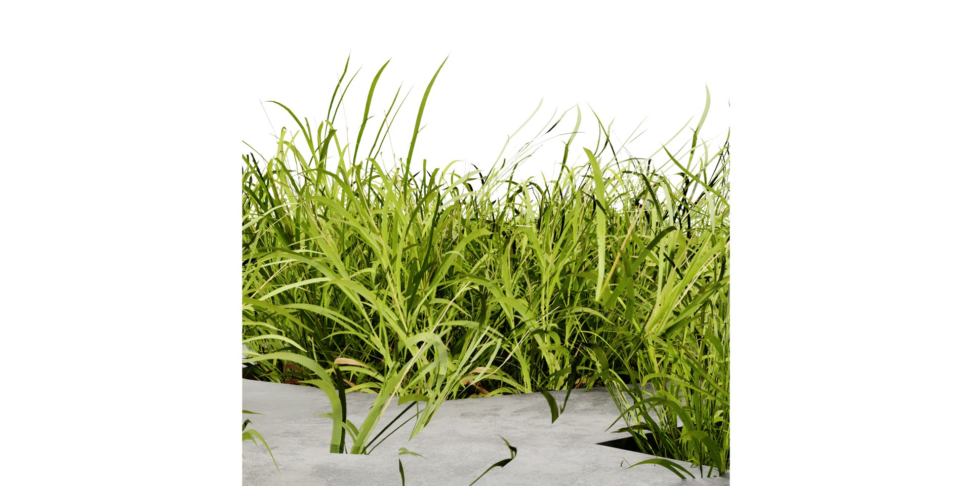 3D Collection plant vol 499 - blender model model https://p.turbosquid.com/ts-thumb/iD/L8qTIt/Vl/6/jpg/1690452696/1920x1080/fit_q87/a6c3da3a497c91fbcbce2ddb93b8c811045f86d6/6.jpg