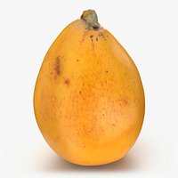 Whole Ripe Loquat Fruit - 3D Scanned