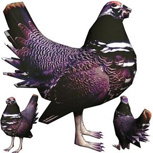 3d spruce grouse model