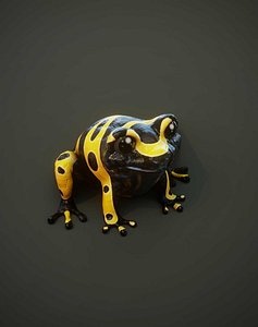 Cartoon Yellow-banded Frog with Facial Expressions and 12 Animations 3D Model