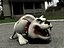 Bulldog