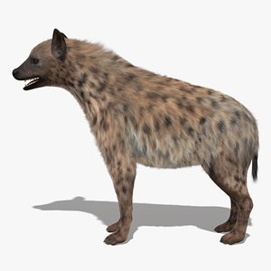 max spoted hyena fur