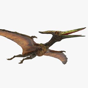 Pteranodon Flying Carnivorous Reptile Rigged 3D Model