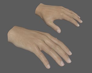 VR Realistic 3D Hand Rigged model
