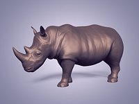Ocst Animals