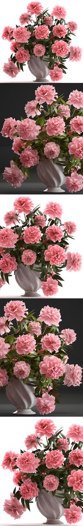 3D model bouquet pink peonies https://p.turbosquid.com/ts-thumb/iE/4Vt0c3/168RmLKF/bouquetpaeonia3005pink10/jpg/1527764272/1920x1080/fit_q87/2bc045fbe4416193d99c36b1f35cae599b0d3324/bouquetpaeonia3005pink10.jpg