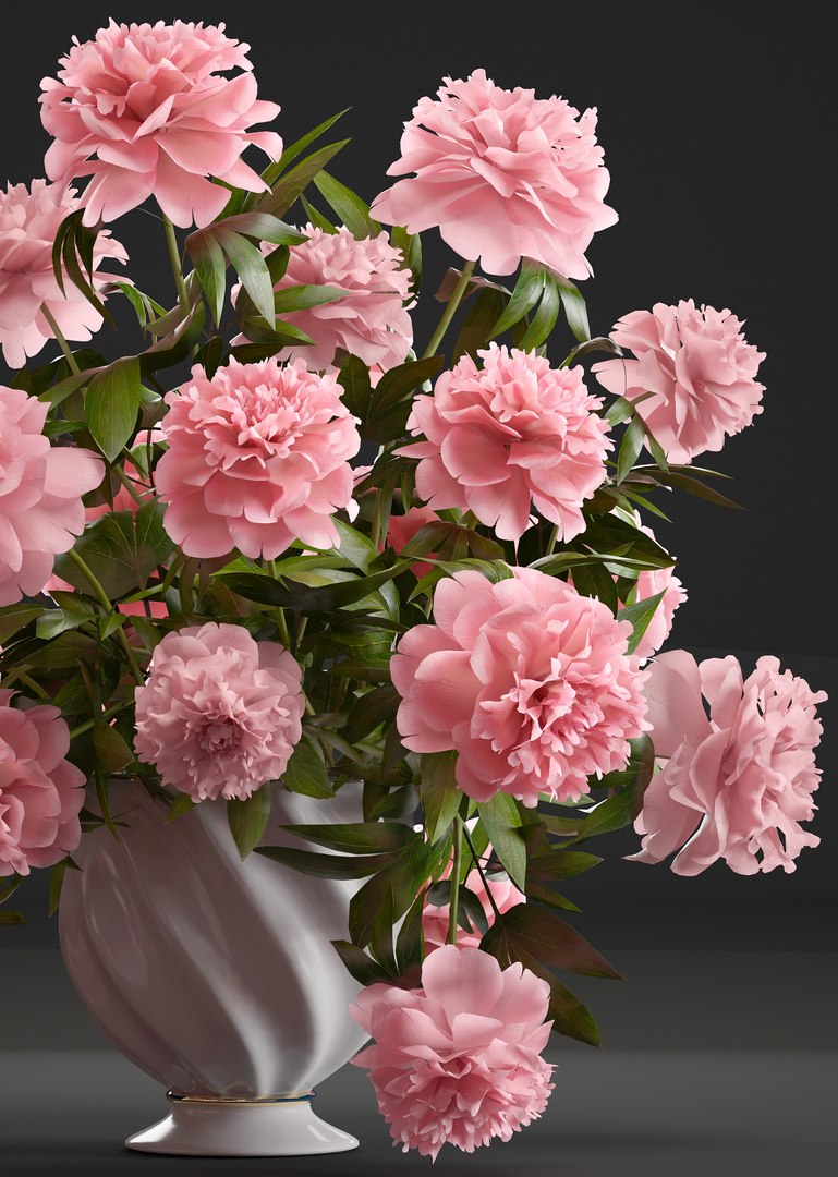 3D model bouquet pink peonies https://p.turbosquid.com/ts-thumb/iE/4Vt0c3/7t1Mpe1k/bouquetpaeonia3005pink03/jpg/1527764271/1920x1080/fit_q87/f4a2351400461dcf3fa6ad8fa9ace3235b0c2468/bouquetpaeonia3005pink03.jpg