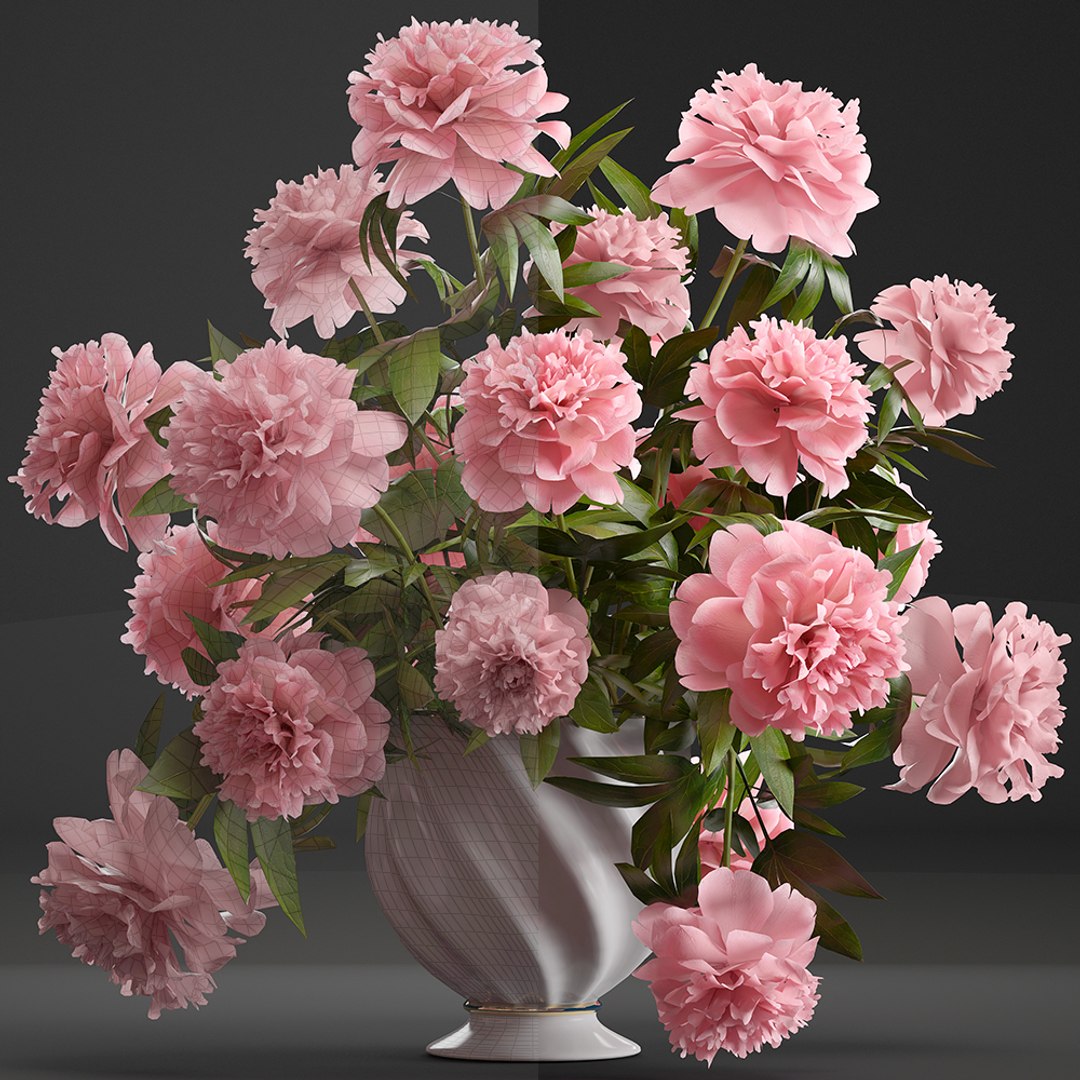 3D model bouquet pink peonies https://p.turbosquid.com/ts-thumb/iE/4Vt0c3/KT1fZ6S8/bouquetpaeonia3005pink07/jpg/1527764271/1920x1080/fit_q87/ed6cf2e95ce748d6aee21bc3efabca511a140f99/bouquetpaeonia3005pink07.jpg