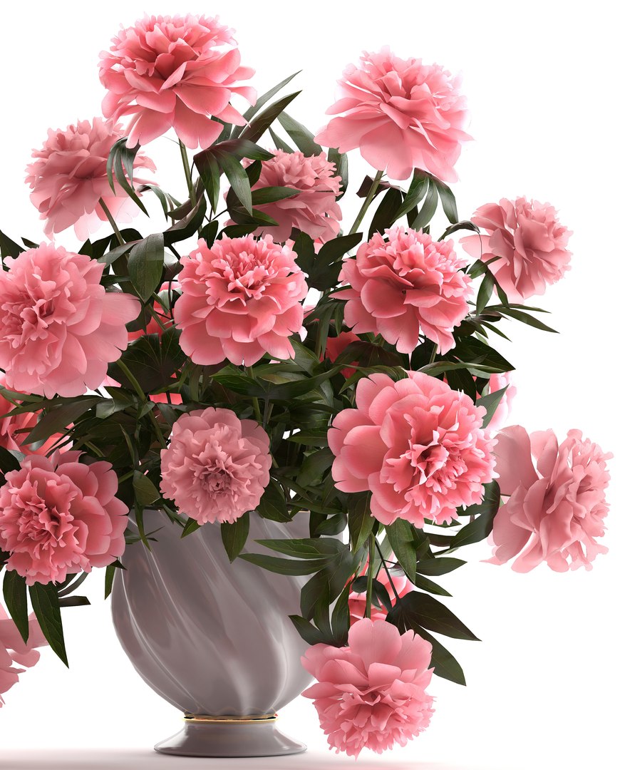 3D model bouquet pink peonies https://p.turbosquid.com/ts-thumb/iE/4Vt0c3/MJG6Ll1P/bouquetpaeonia3005pink05/jpg/1527764271/1920x1080/fit_q87/71ac99e52af9c152503efaf4063006a6b1985e53/bouquetpaeonia3005pink05.jpg
