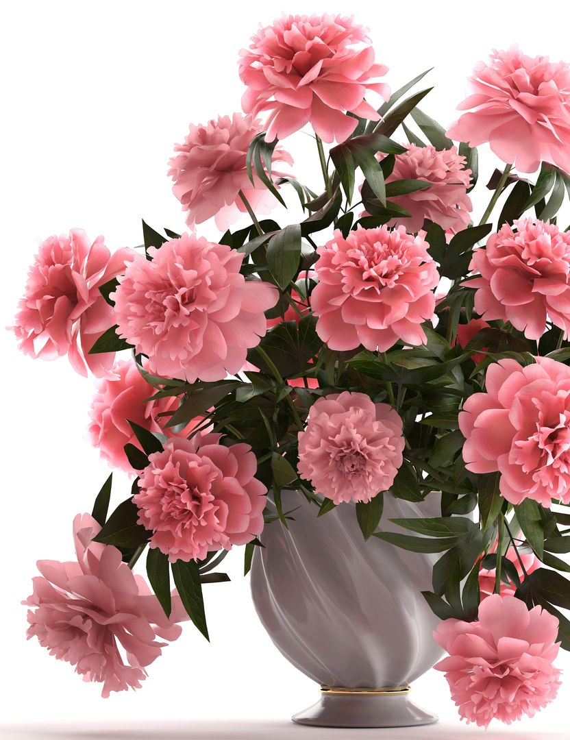 3D model bouquet pink peonies https://p.turbosquid.com/ts-thumb/iE/4Vt0c3/eNzvgDkP/bouquetpaeonia3005pink04/jpg/1527764271/1920x1080/fit_q87/008d4cda8c781ab6dbef75ed75fed3afb02447be/bouquetpaeonia3005pink04.jpg