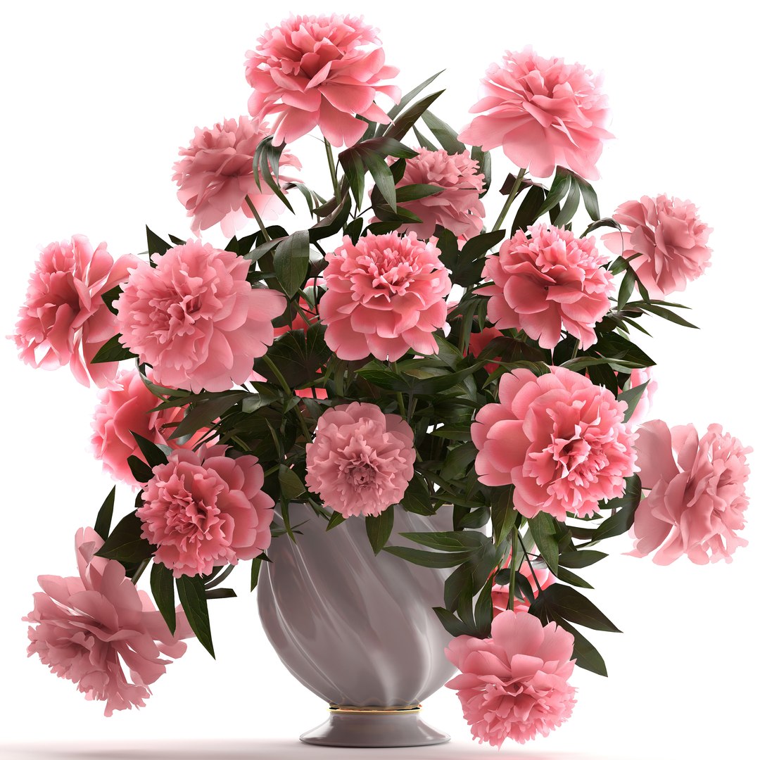 3D model bouquet pink peonies https://p.turbosquid.com/ts-thumb/iE/4Vt0c3/lyhmy8YO/bouquetpaeonia3005pink01/jpg/1527764271/1920x1080/fit_q87/ae2a8868b9a4652ffc74ffabea5b123c092f2126/bouquetpaeonia3005pink01.jpg
