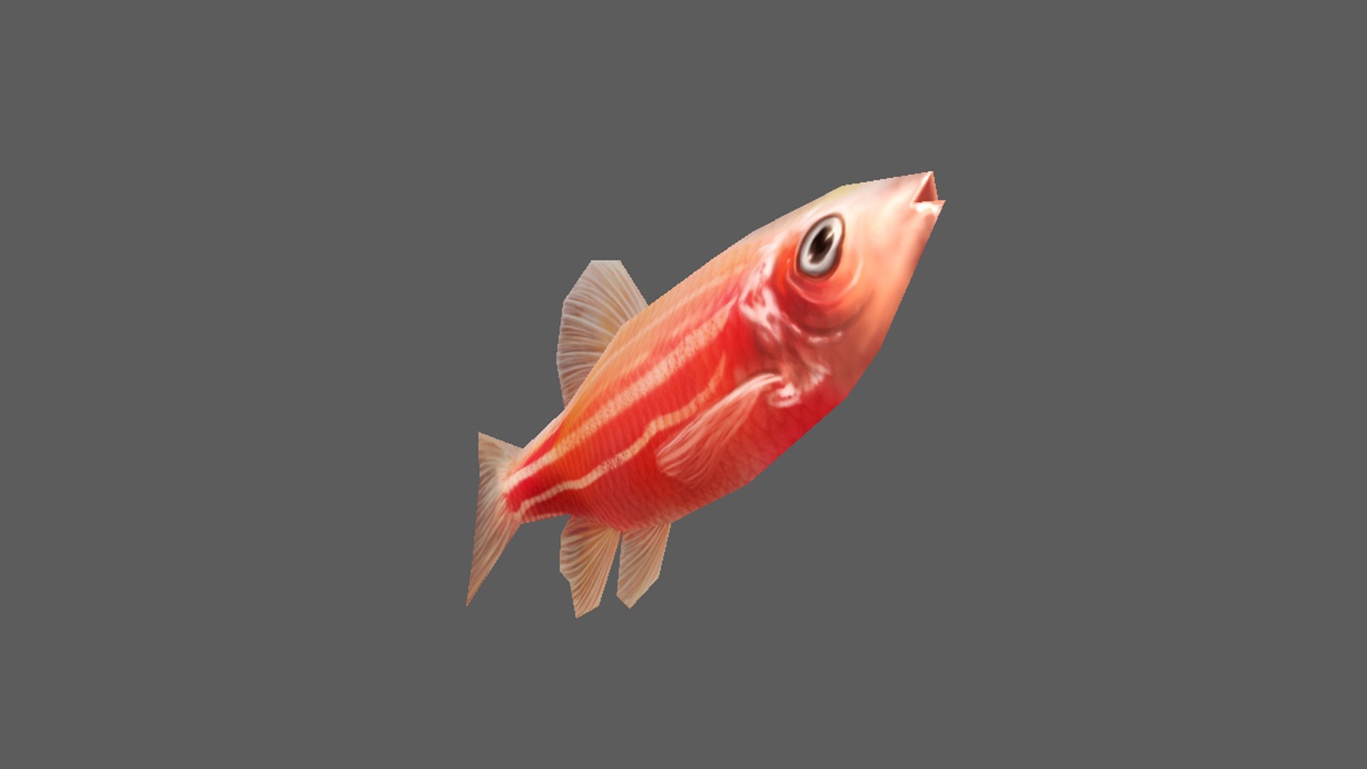 Neon Tetra Model - TurboSquid 1709792