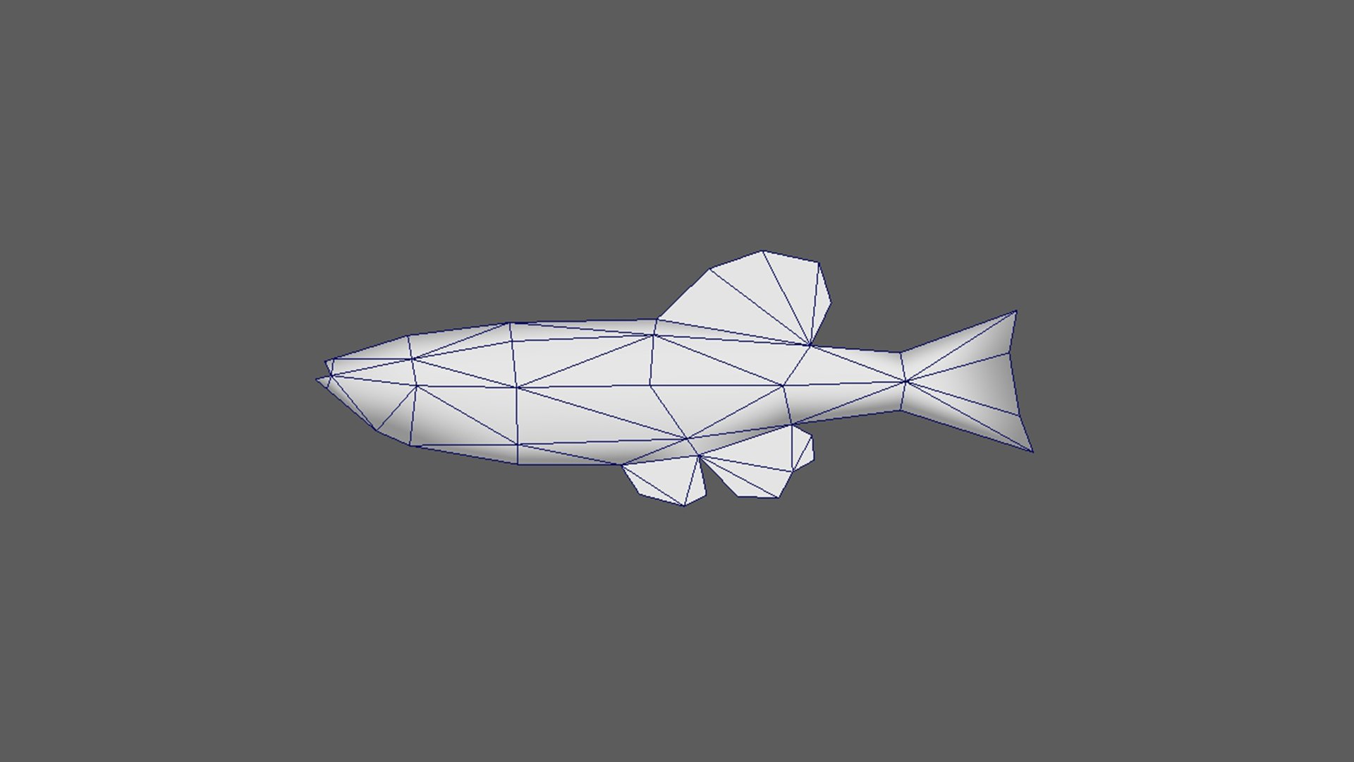 Neon Tetra Model - TurboSquid 1709792