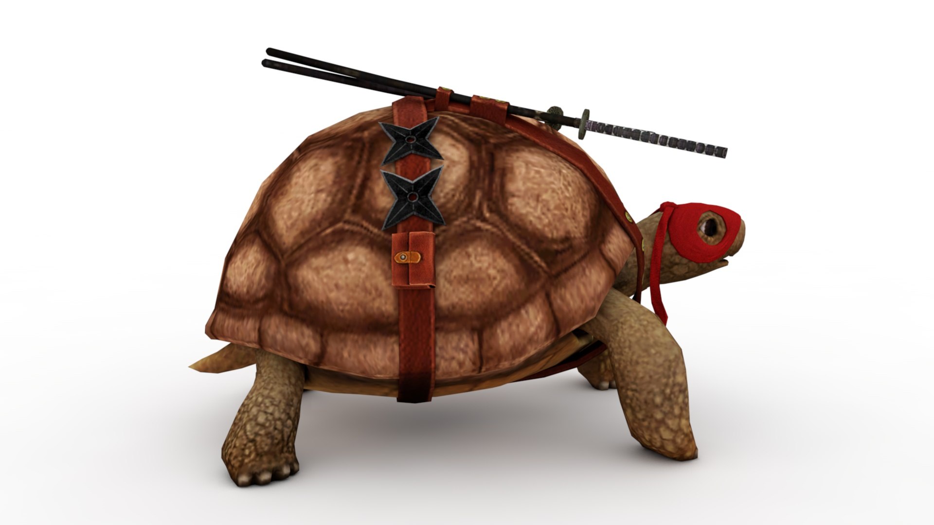 3D tortoise  TurboSquid 1853529