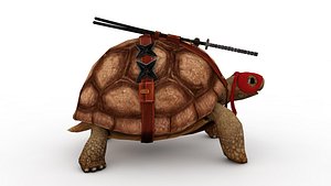 3D tortoise