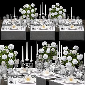 luxury table setting 3D model