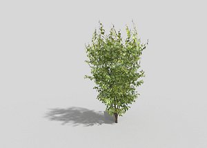 3ds games tree