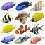 Saltwater Fish Rigged Collection