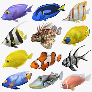 Saltwater Fish Rigged Collection
