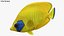 Saltwater Fish Rigged Collection