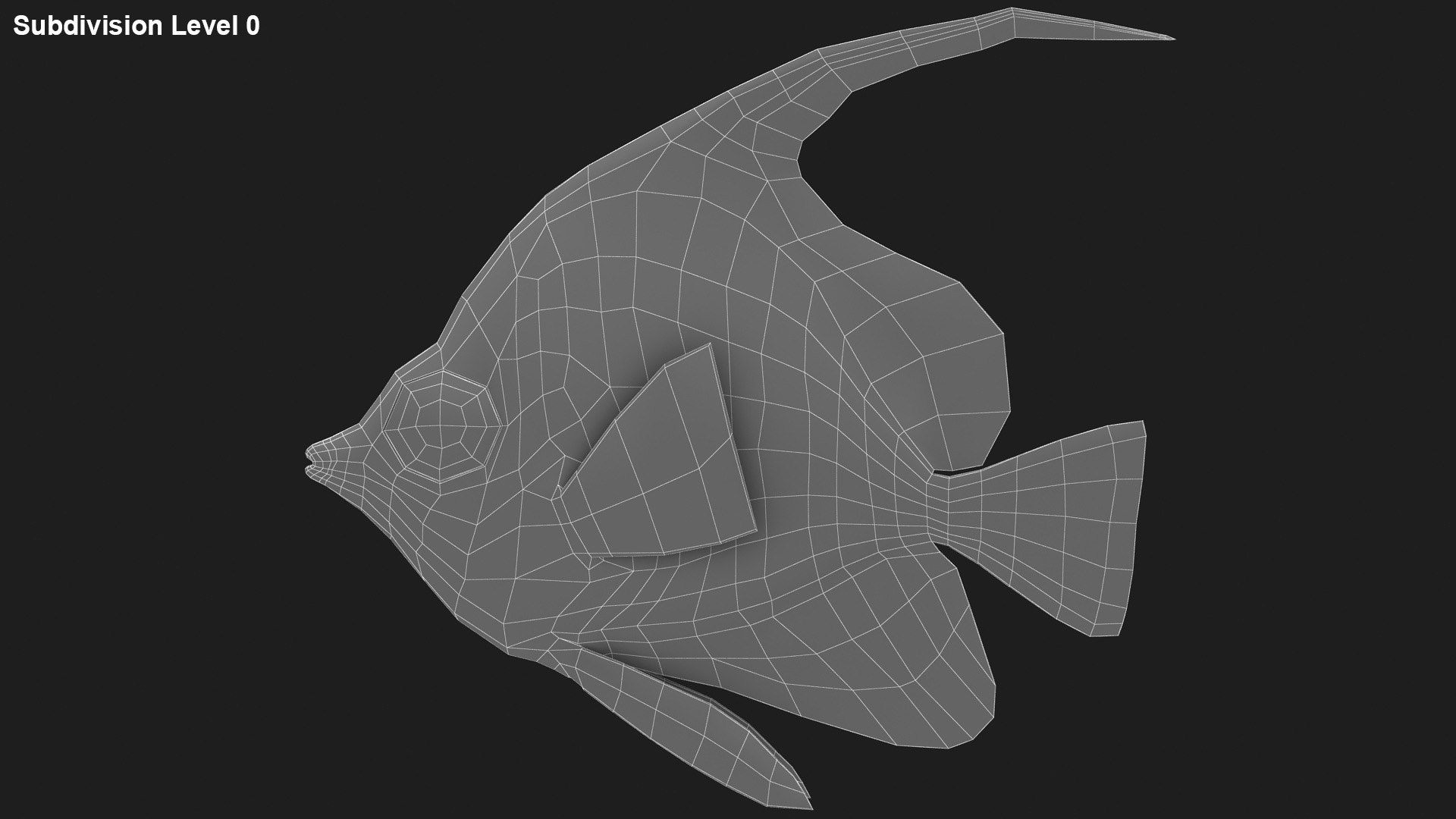 saltwater fish rigged 3D model https://p.turbosquid.com/ts-thumb/iE/Xpl7qr/67TjOSxd/lemon_rr_28/jpg/1581864424/1920x1080/fit_q87/e9a16aebacac93d17a0c3304be0f4dc0b98dbe4e/lemon_rr_28.jpg