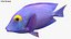 Saltwater Fish Rigged Collection