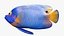 Saltwater Fish Rigged Collection