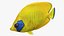 Saltwater Fish Rigged Collection