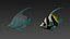 Saltwater Fish Rigged Collection