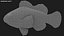Saltwater Fish Rigged Collection