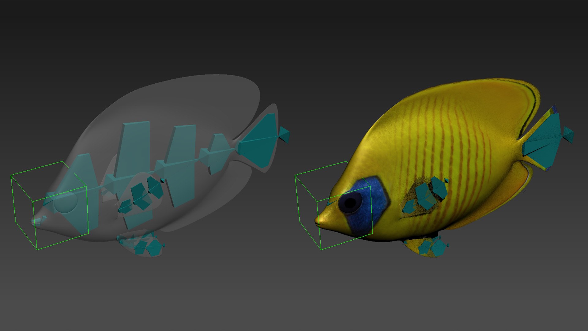 saltwater fish rigged 3D model https://p.turbosquid.com/ts-thumb/iE/Xpl7qr/HgNL0zJQ/4/jpg/1582547951/1920x1080/fit_q87/1566af5d09a7e9d71fc8214ad8391cda0f658b69/4.jpg