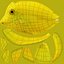 Saltwater Fish Rigged Collection