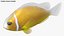 Saltwater Fish Rigged Collection