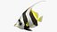 Saltwater Fish Rigged Collection