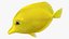 Saltwater Fish Rigged Collection