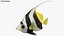 Saltwater Fish Rigged Collection