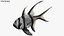 Saltwater Fish Rigged Collection