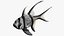 Saltwater Fish Rigged Collection