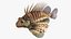 Saltwater Fish Rigged Collection