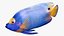 Saltwater Fish Rigged Collection