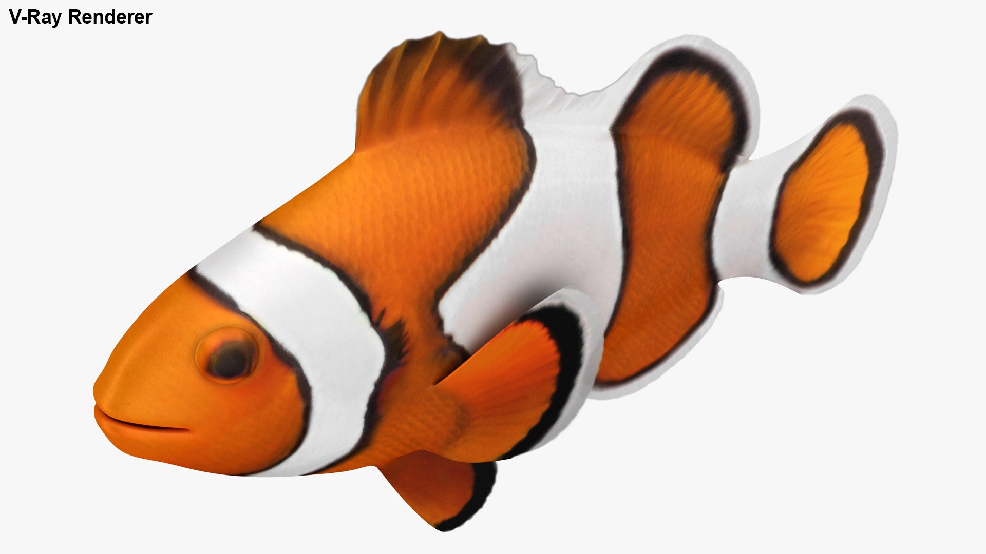 saltwater fish rigged 3D model https://p.turbosquid.com/ts-thumb/iE/Xpl7qr/oye3txgi/2/jpg/1582548238/1920x1080/fit_q87/22e8f02f0308b8ccfab9648a08684a3e16e302b9/2.jpg