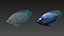 Saltwater Fish Rigged Collection